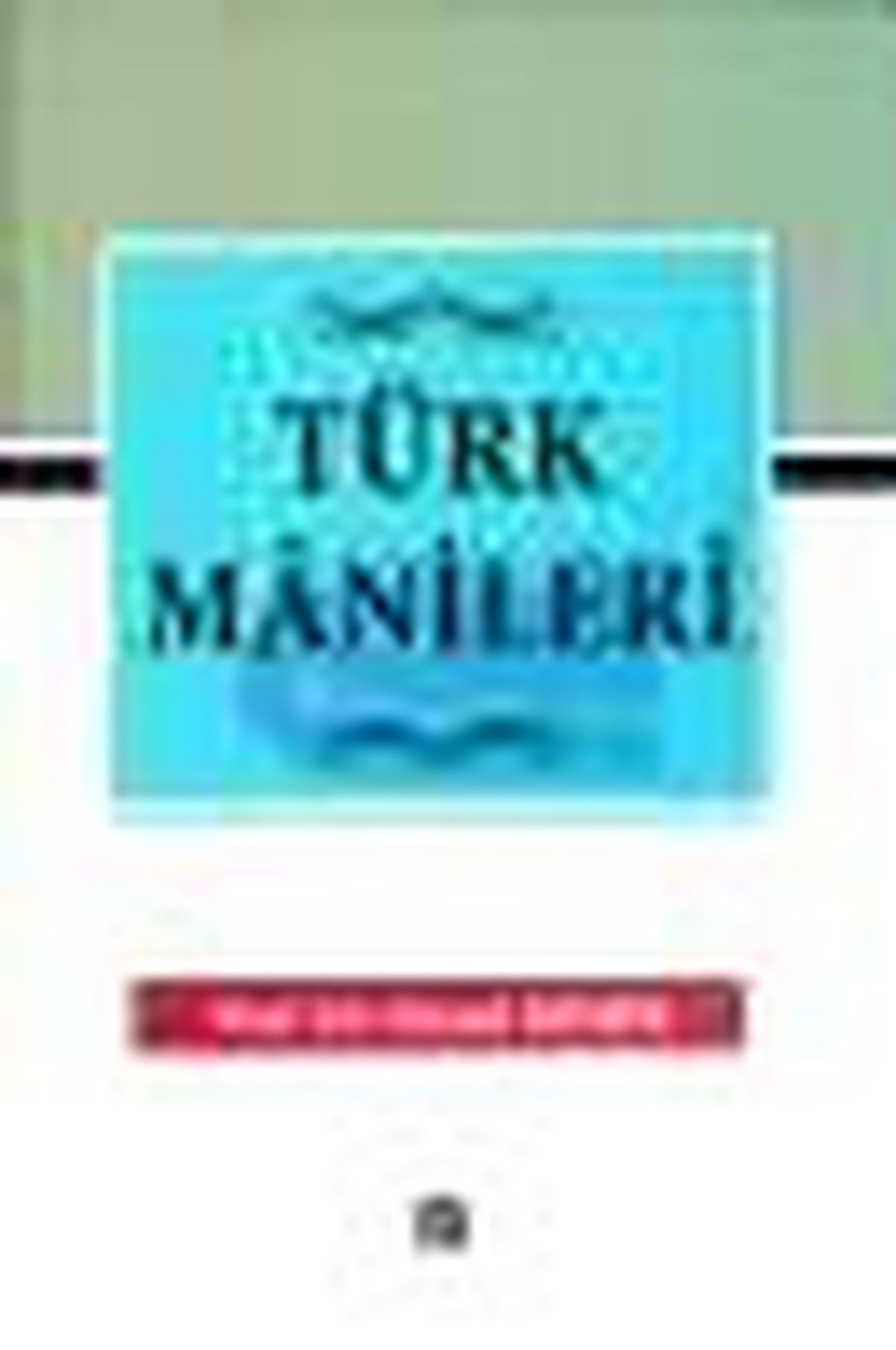 Türk Manileri Kitabı