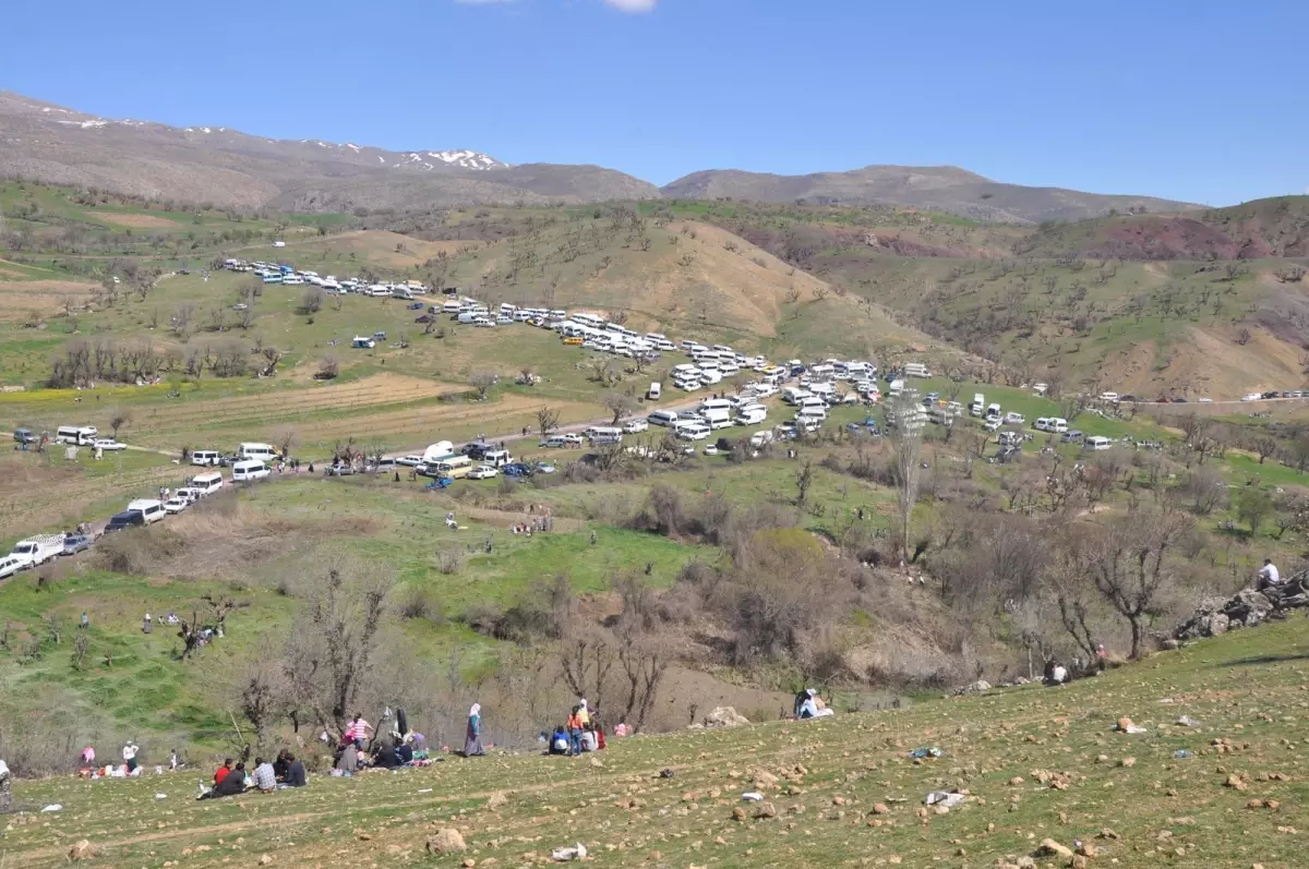 Siirt Taşlı Köyünde Düzenlenen Şenliklere Binlerce Kişi Katıldı
