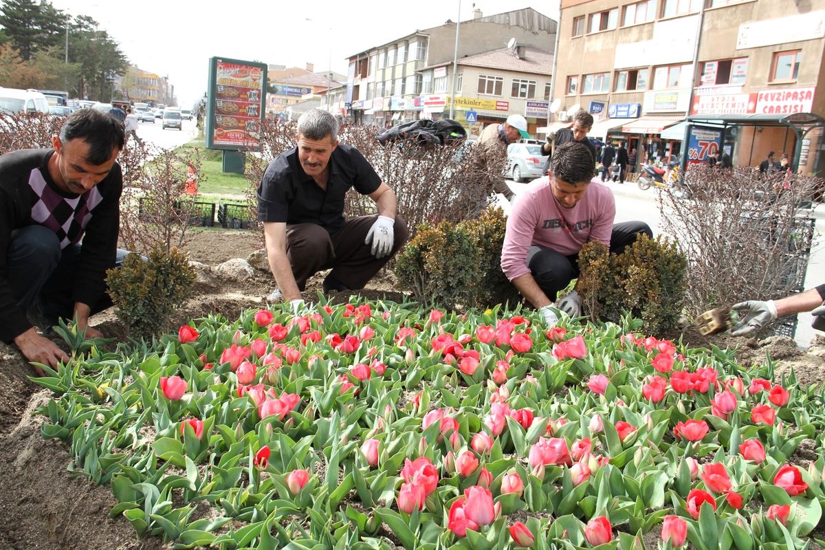 Erzincan\'da Refüjler ve Kavşaklar Renkleniyor