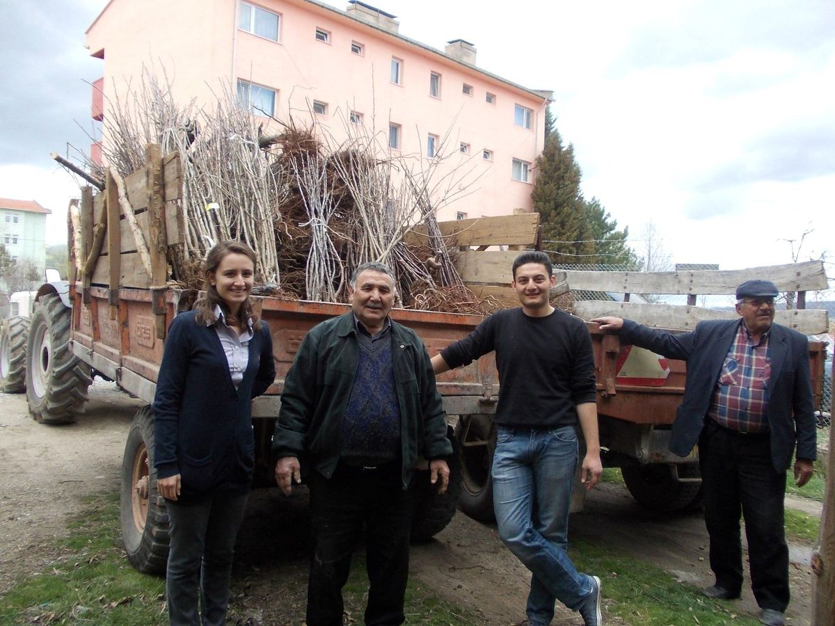 Çiftçilere 2 Bin 500 Elma Fidanı Dağıtıldı