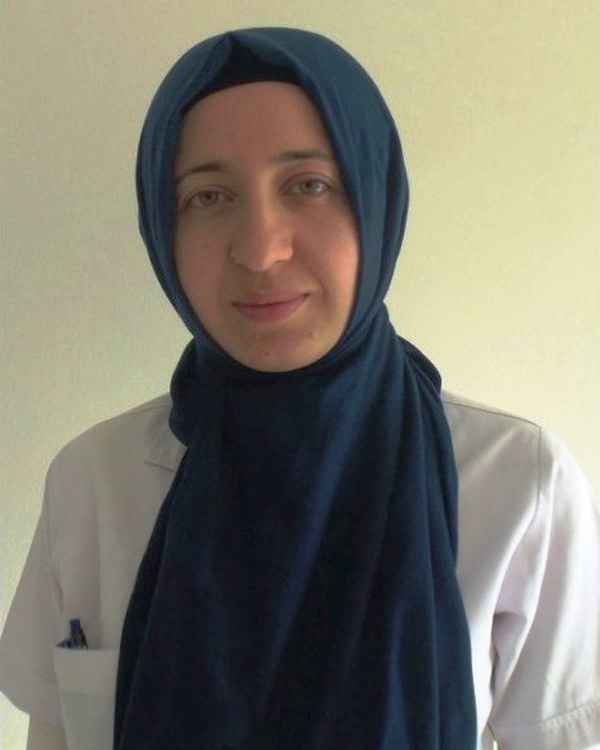Küre\'de Vatandaşlara ve Köy Muhtarlarına Kkka Semineri