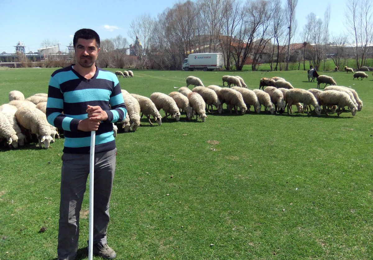 Kütahya\'da \'Süt İhracatı\' Sevinci