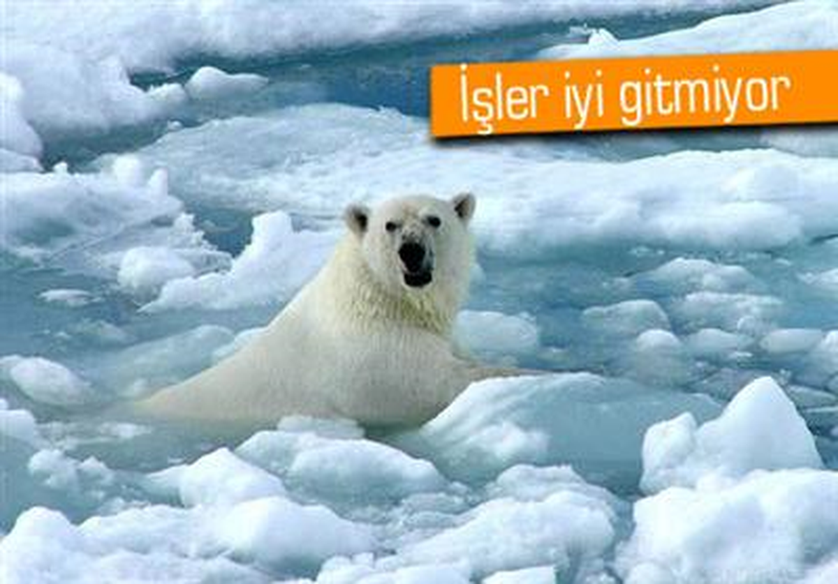 Dünyanın Kuzeyi Eriyor, Güneyi Donuyor
