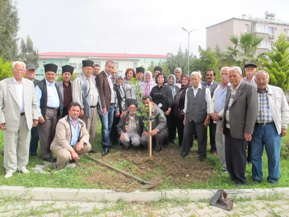 Kuvayi Milliyeciler, Huzurevinde Yaşlılarla Birlikte Çınar Ağacı Dikti