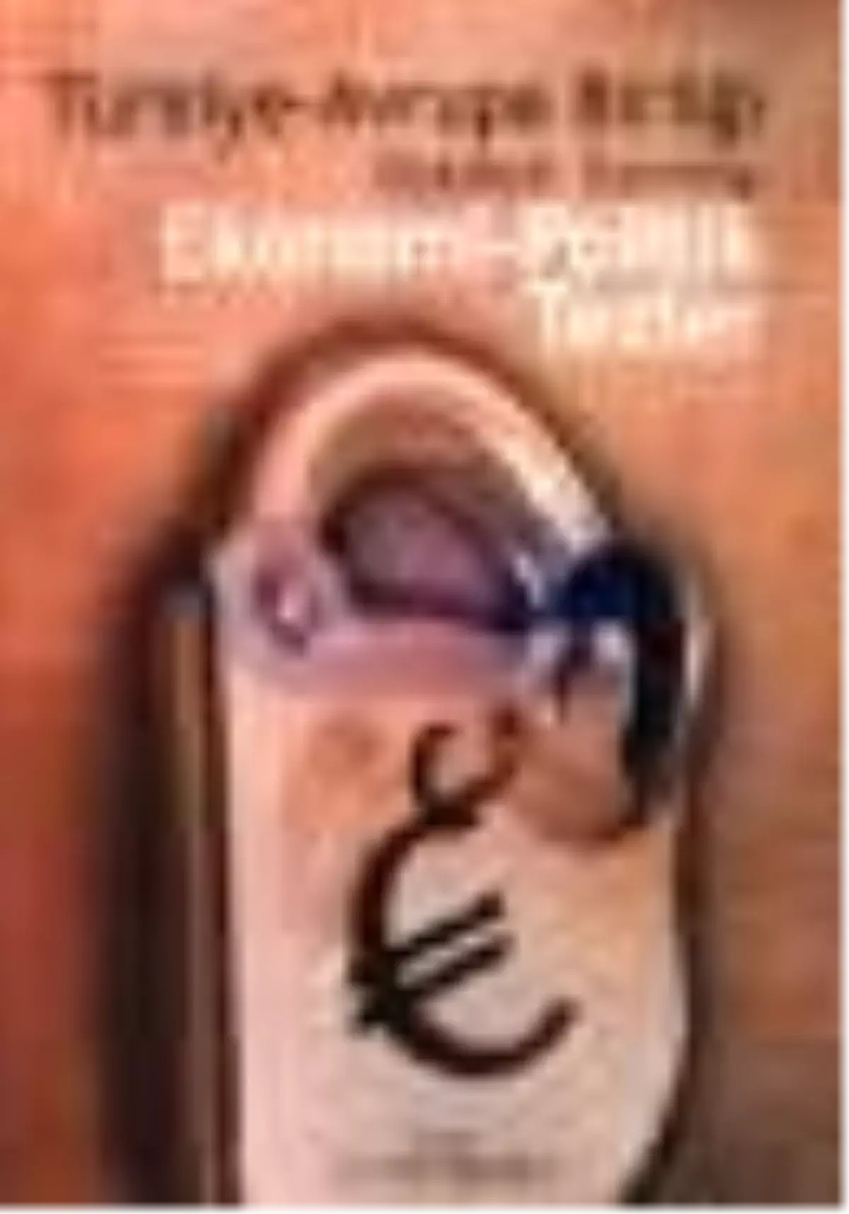 Türkiye-Avrupa Birliği İlişkileri Üzerine Ekonomi-Politik Tezler Kitabı