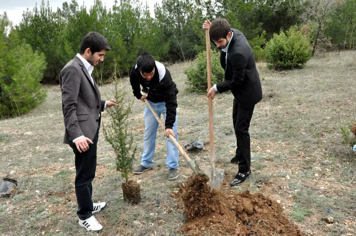 Çanakkale Şehitleri Anısına Orman Oluşturuldu