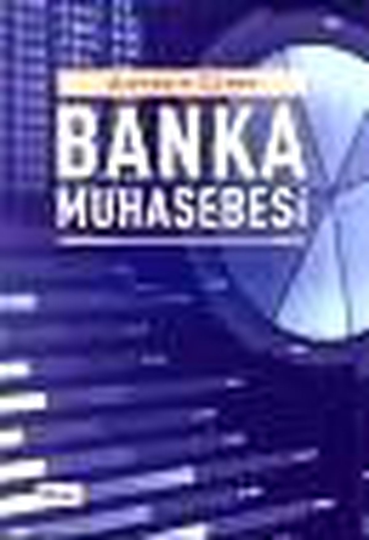 Banka Muhasebesi Kitabı