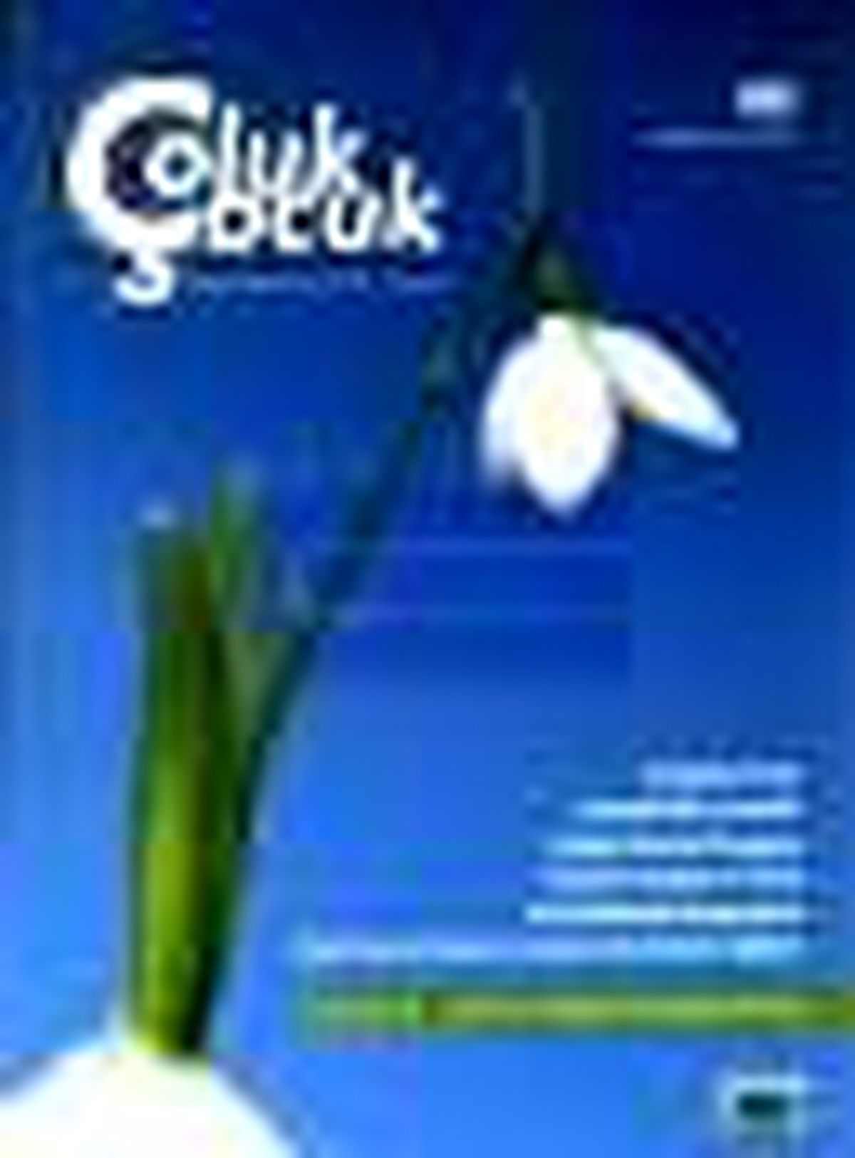 Çoluk Çocuk - Anne Baba Eğitimci Dergisi Sayı: 100 Kitabı