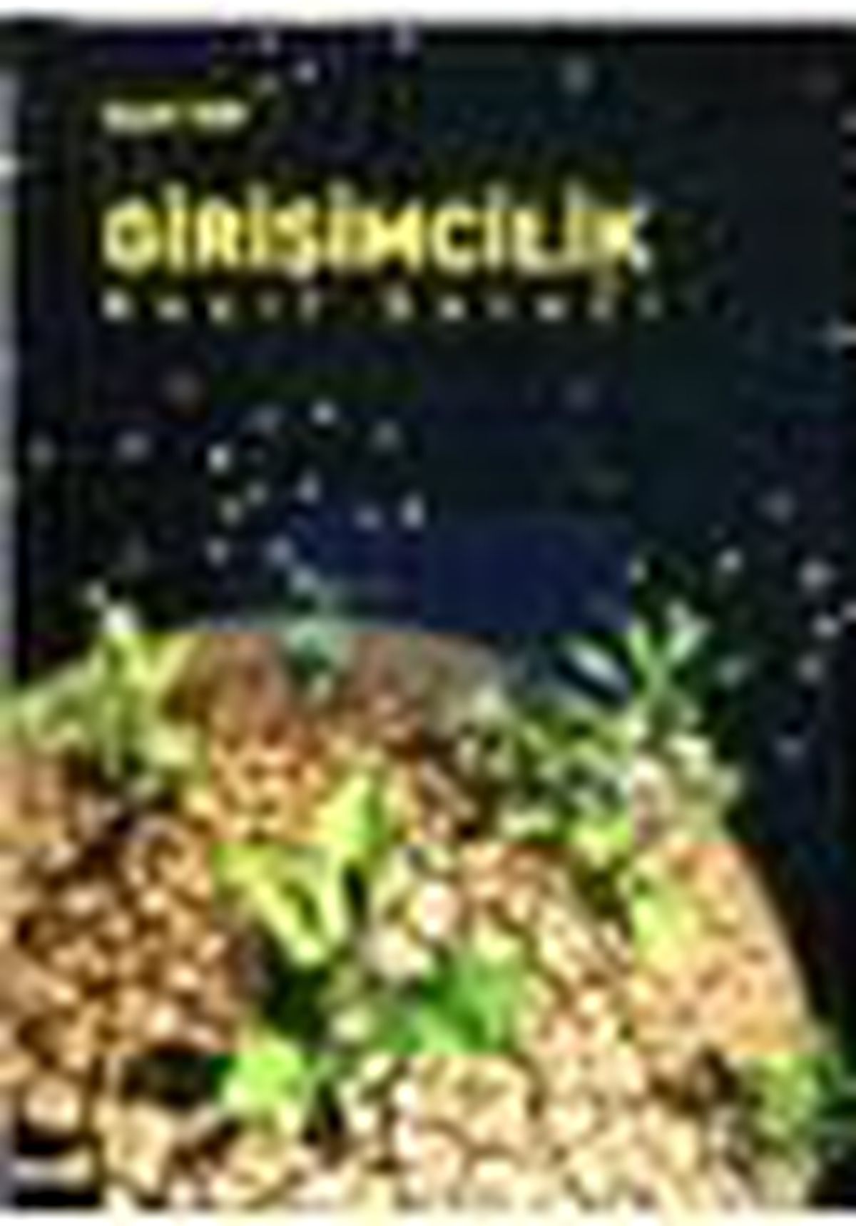 Girişimcilik Kitabı