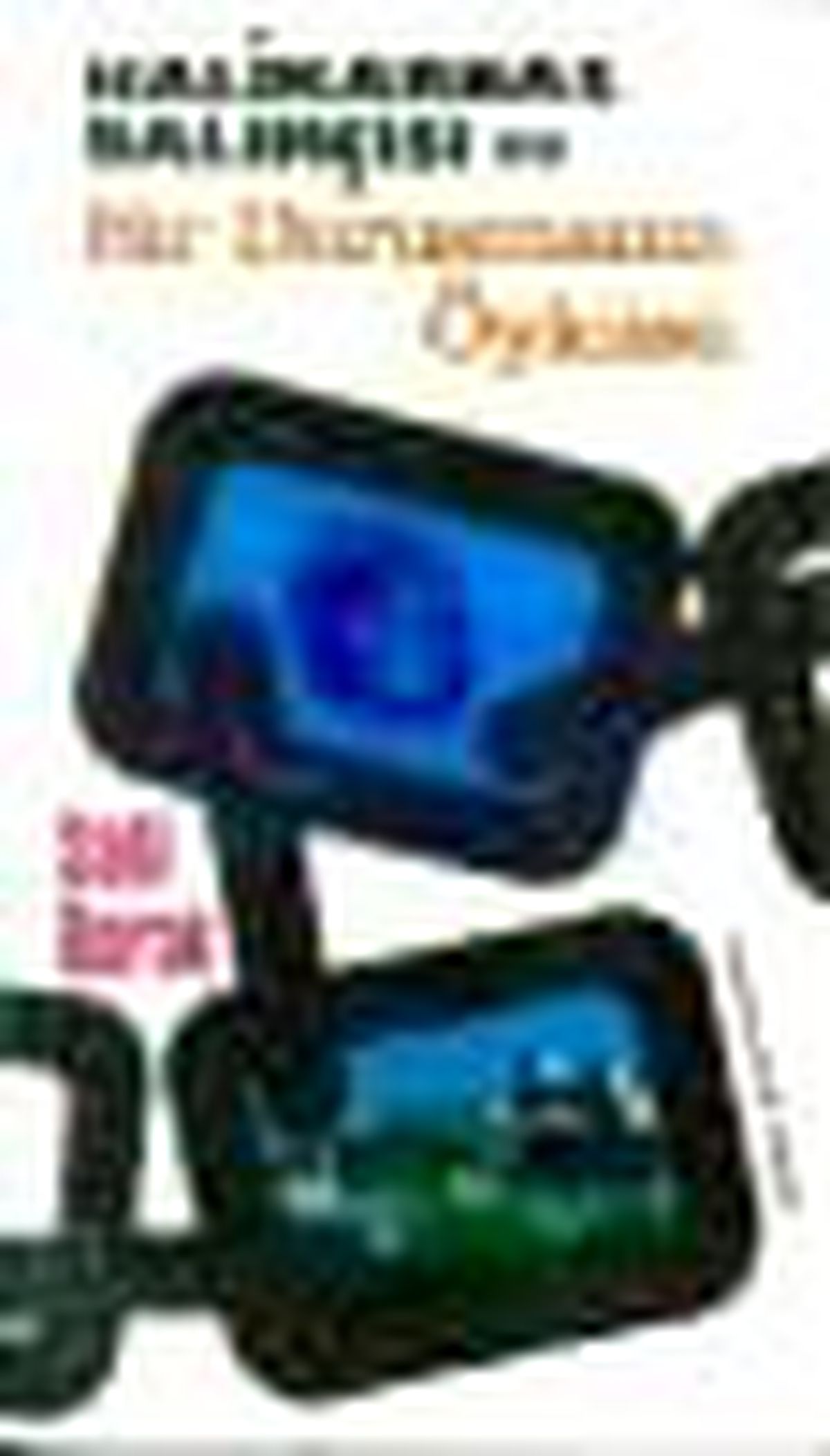 Halikarnas Balıkçısı ve Bir Duruşmanın Öyküsü Kitabı