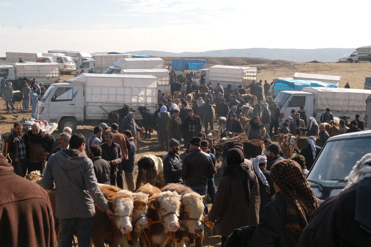 Hayvan Pazarı İlçe Dışına Taşınıyor