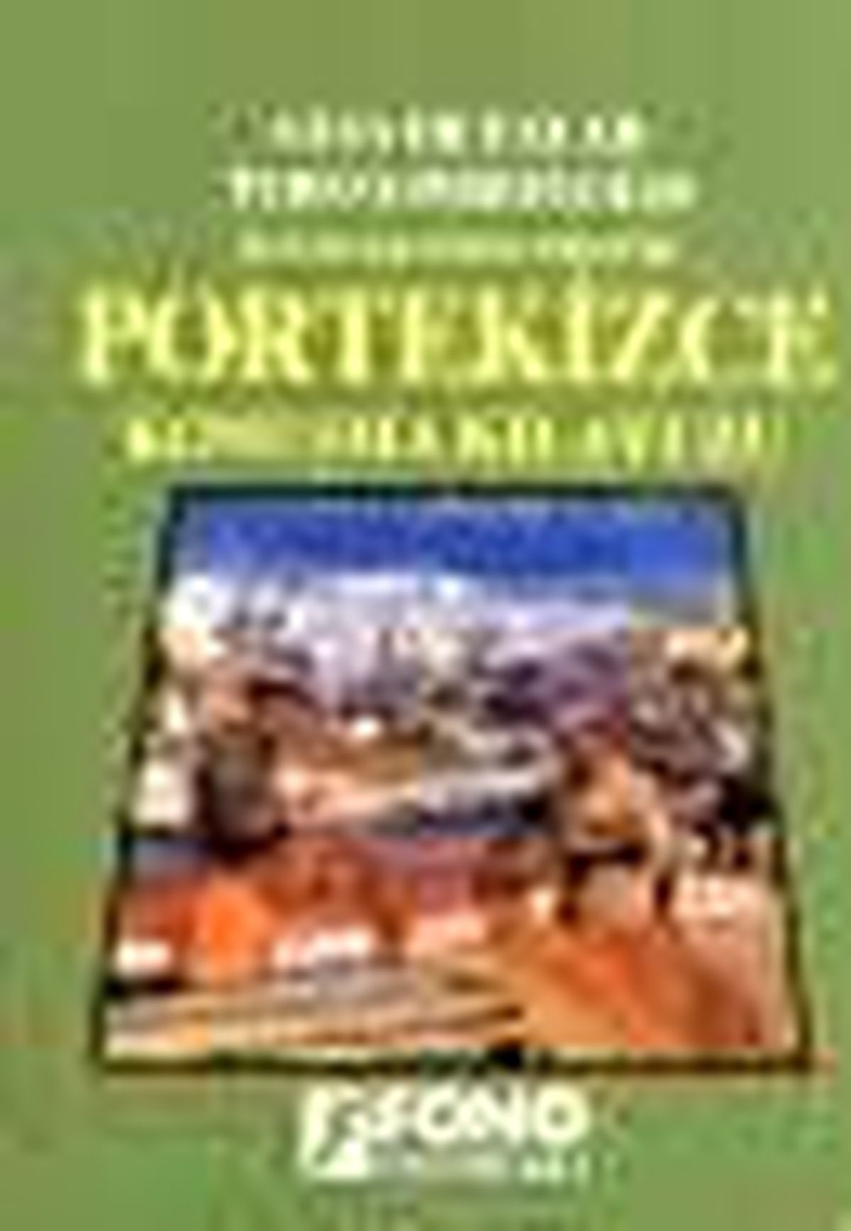Kendi Kendine Pratik Portekizce Konuşma Kılavuzu Kitabı