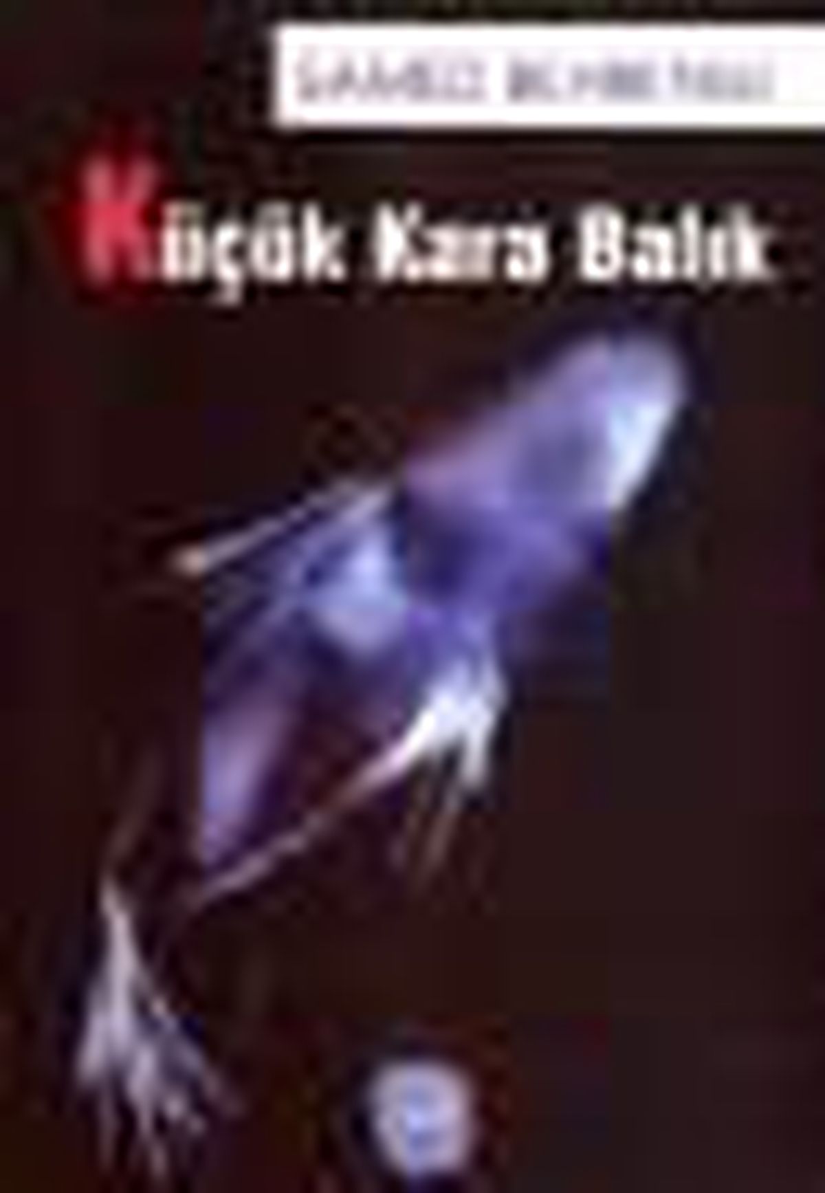 Küçük Kara Balık Kitabı