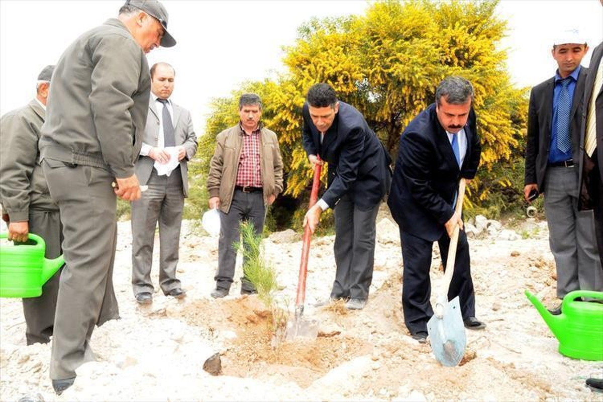 Mersin\'de 2 Maden Sahasında Ağaçlandırma Yapıldı