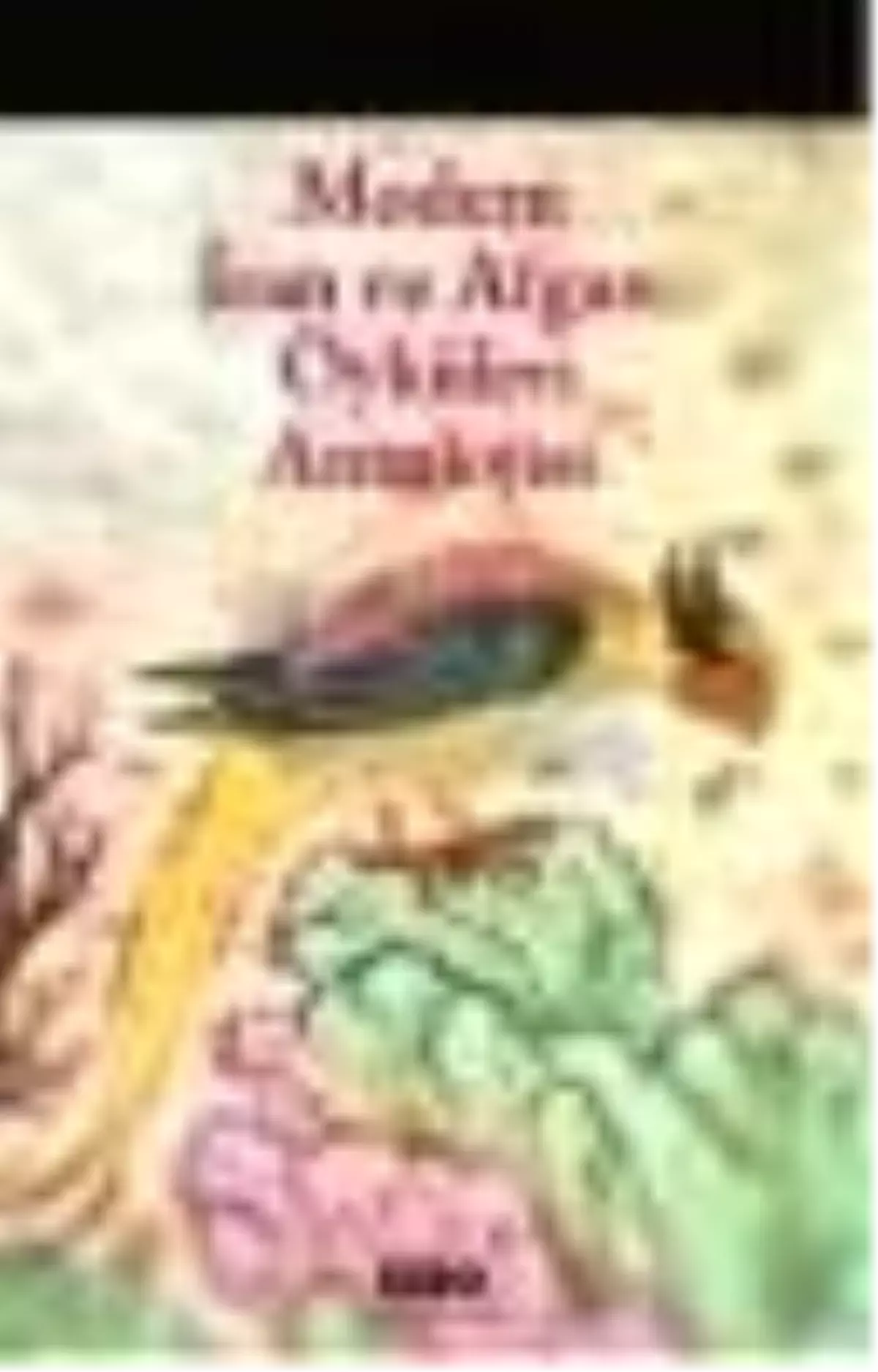 Modern İran ve Afgan Öyküleri Antolojisi Kitabı