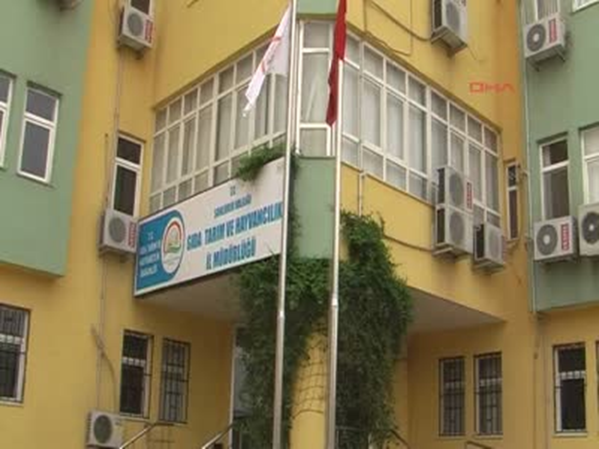 Şanlıurfa\' da 17 Ton Bal İmha Edildi