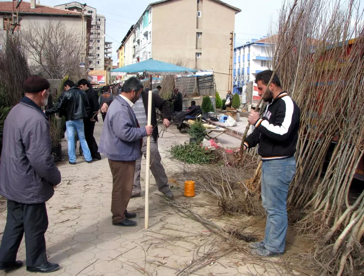 Sorgun\'da Fidan Satışları Başladı