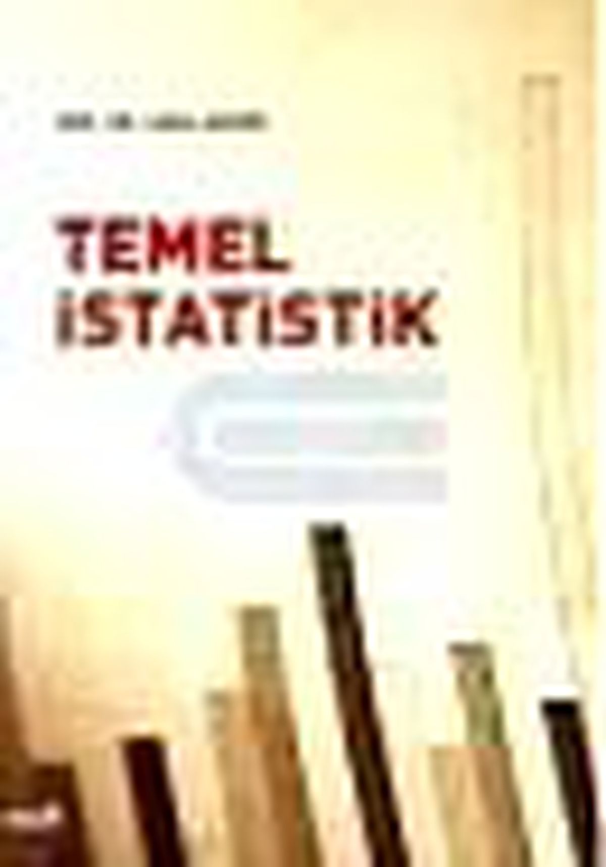 Temel İstatistik Kitabı