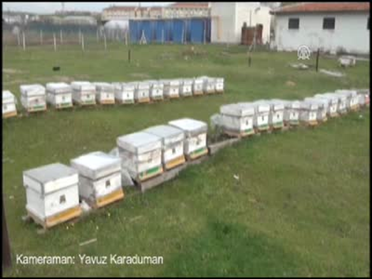 Uçuş Saatine Göre İlaçlama