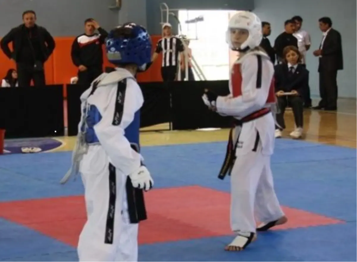 Anadolu Ligi Taekwon-Do Müsabakaları