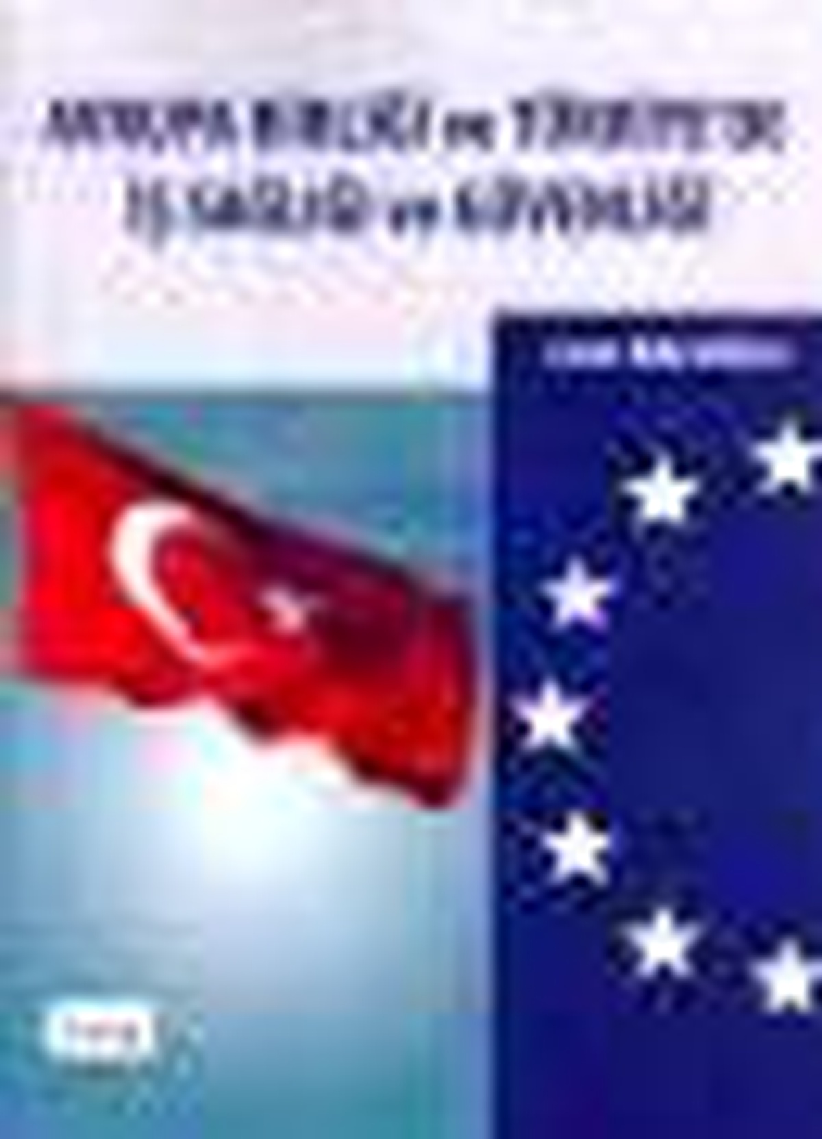 Avrupa Birliği ve Türkiye\'de İş Sağlığı ve Güvenliği Kitabı