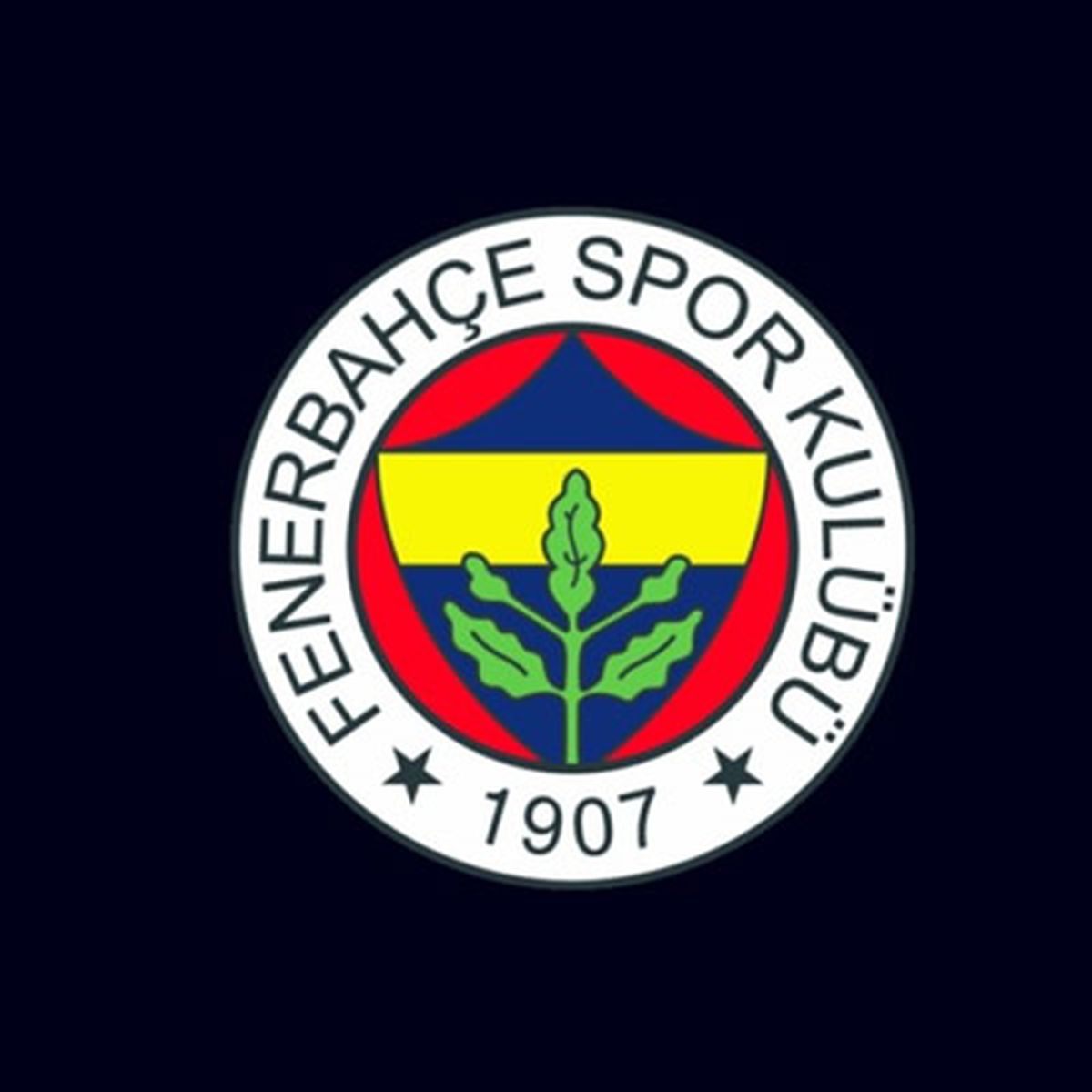 F.Bahçe'den Futbolculara Sigorta