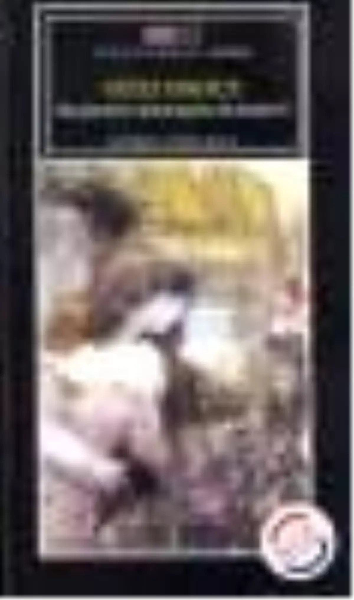 Gizli Bahçe Kitabı