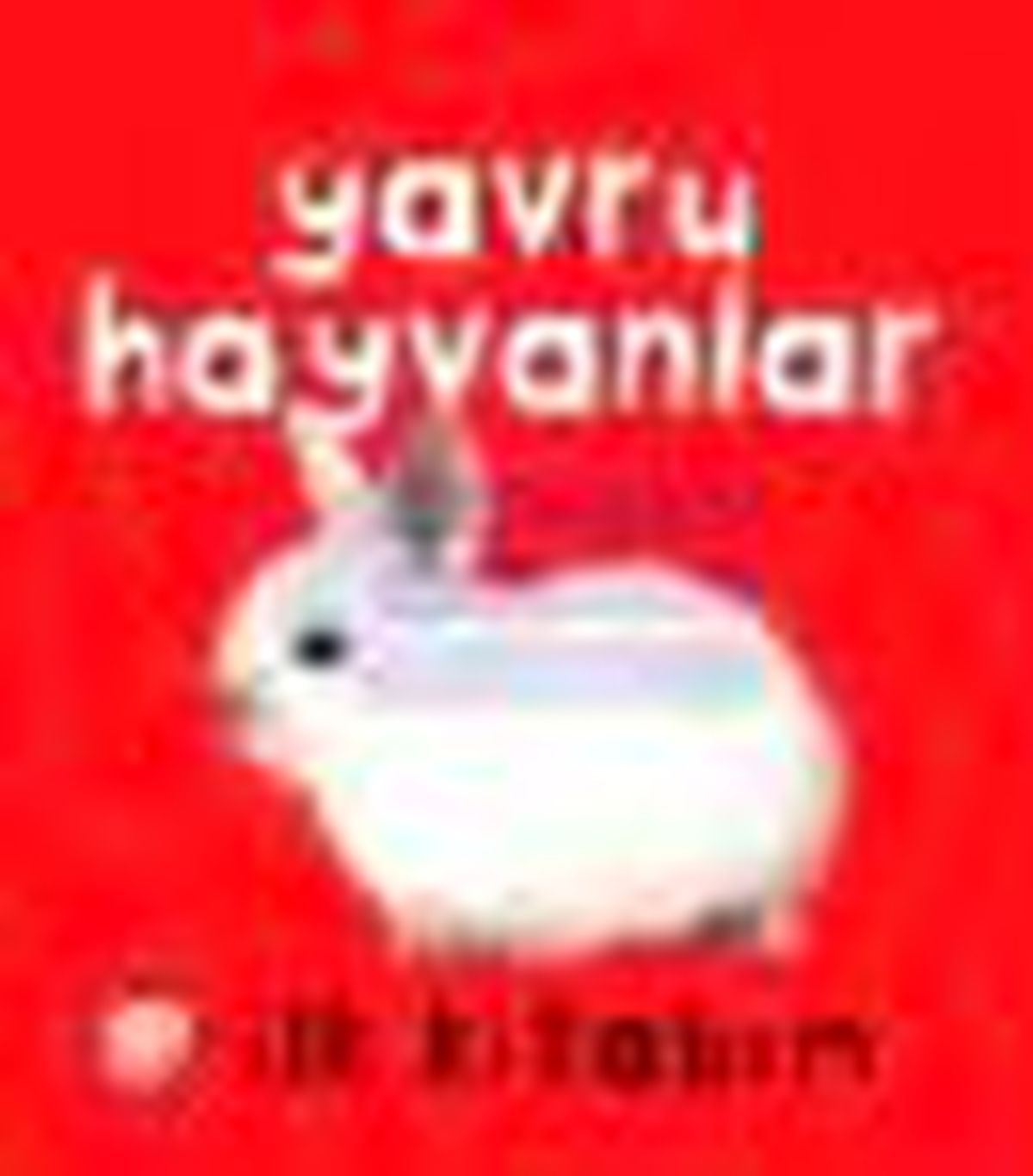 İlk Kitabım - Yavru Hayvanlar Kitabı