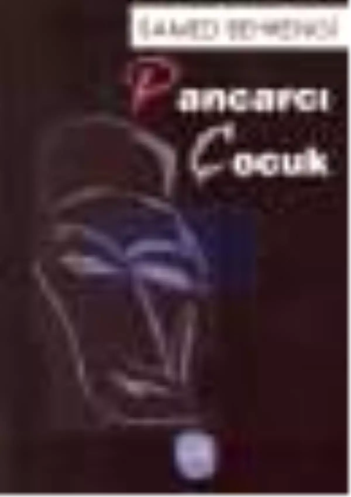 Pancarcı Çocuk Kitabı