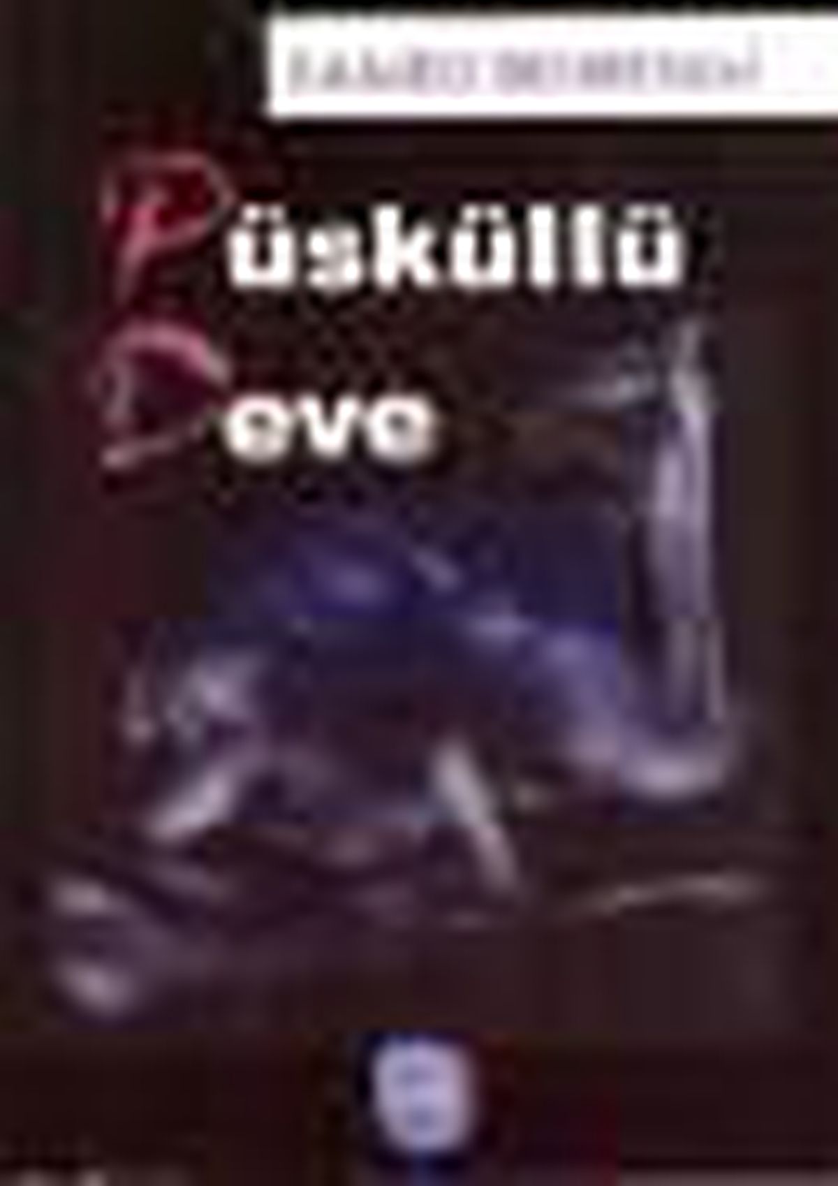 Püsküllü Deve Kitabı