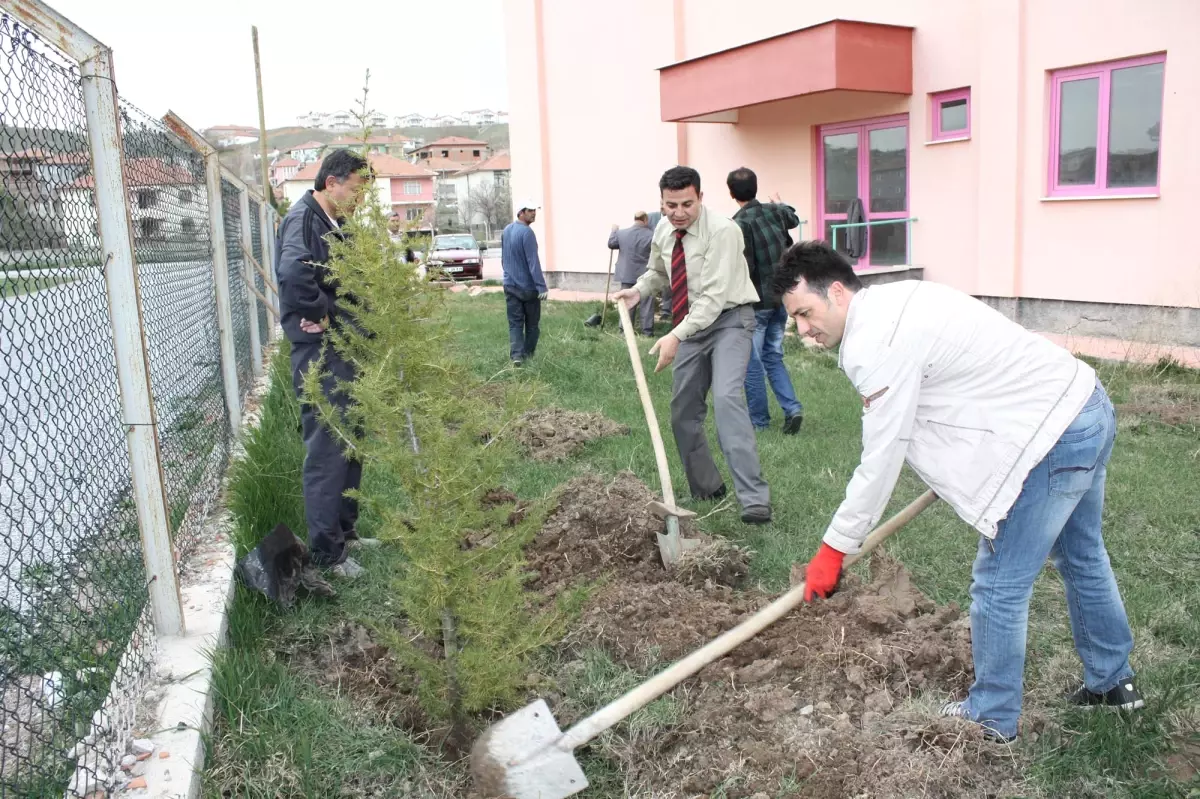 Sarıkaya Spor Salonu Çevresi Ağaçlandırıldı