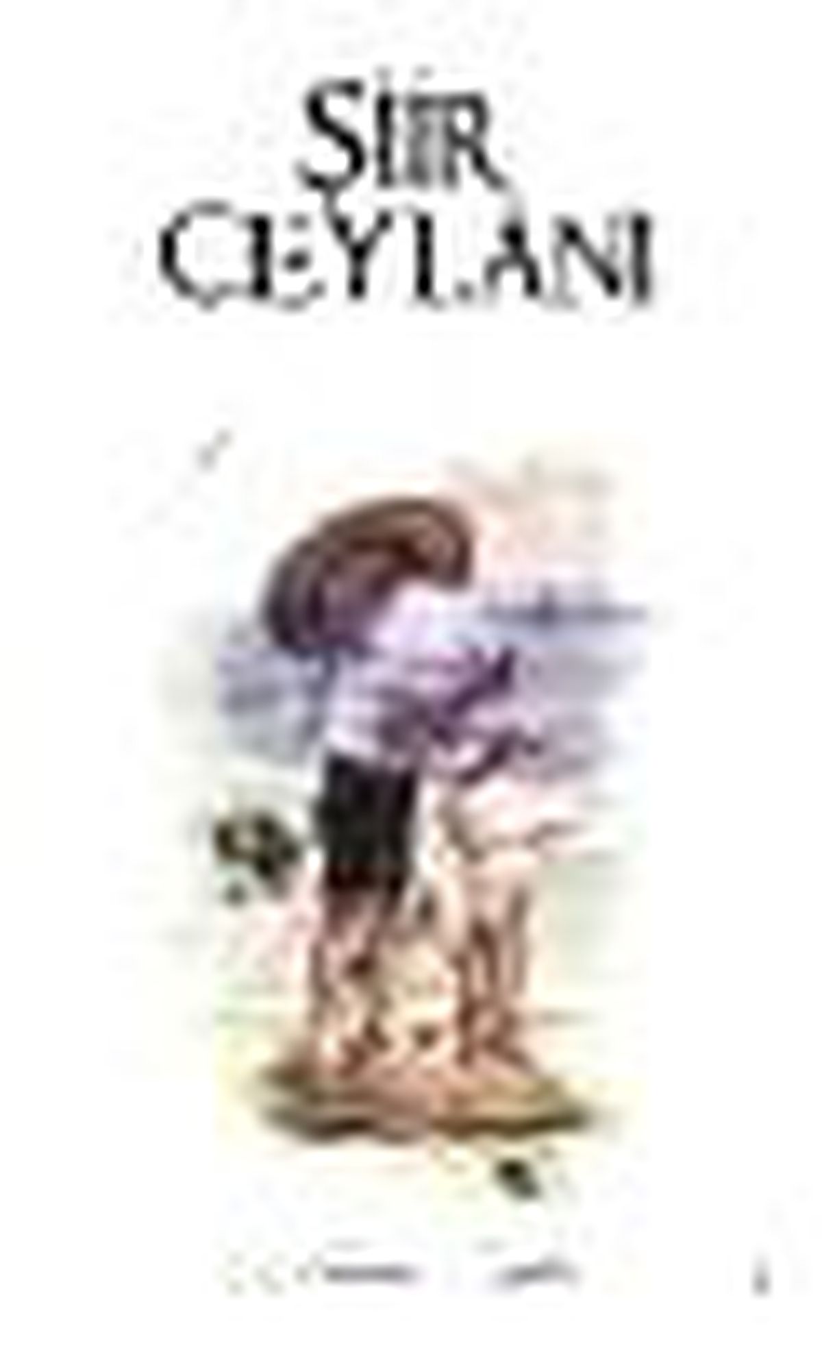 Şiir Ceylanı Kitabı
