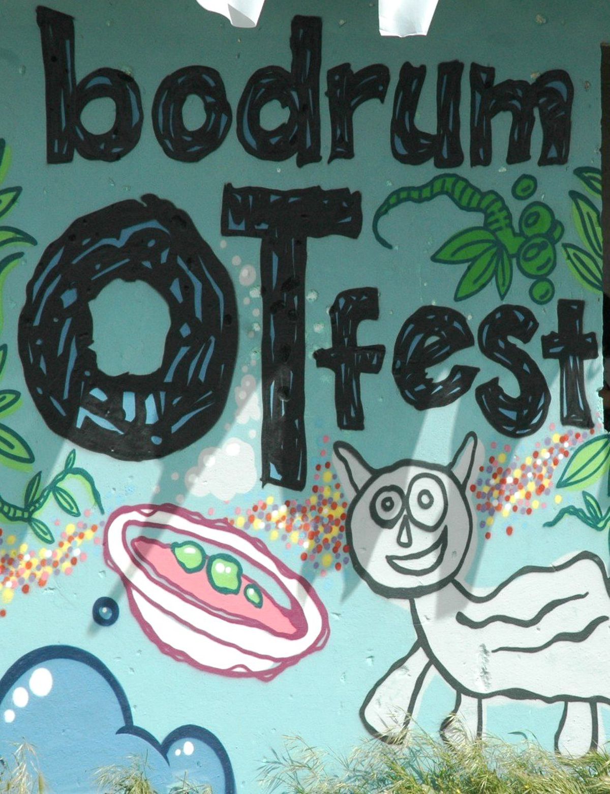 "Bodrum Ot Fest"E Büyük İlgi