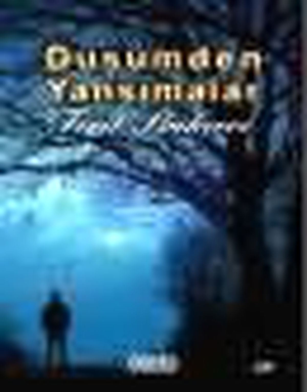 Düşümden Yansımalar Kitabı