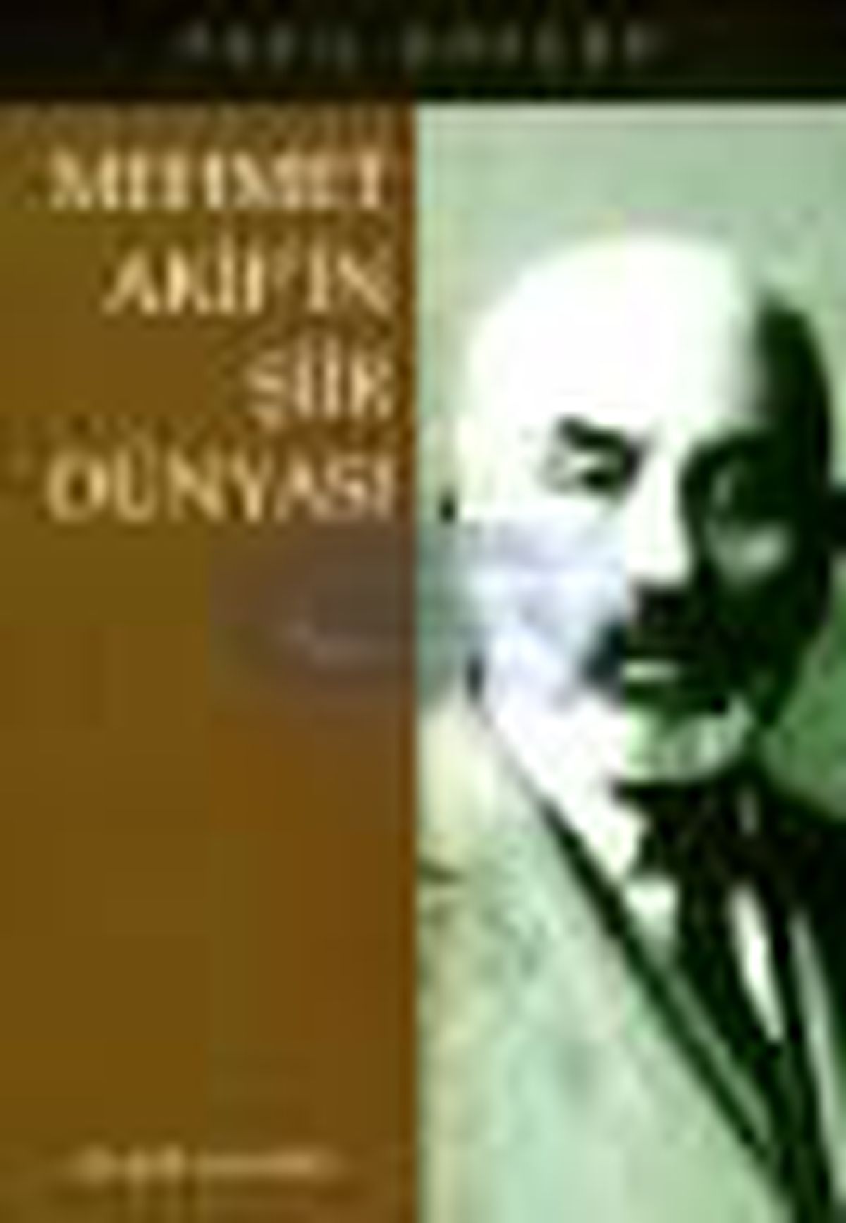 Mehmet Akif\'in Şiir Dünyası Kitabı