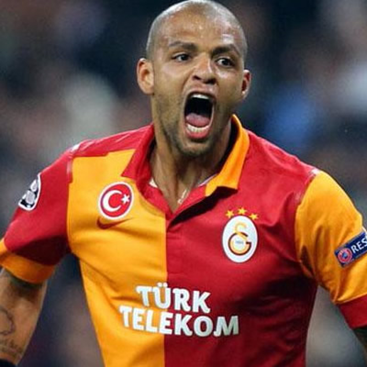 Melo: Burada Bugün 10 Aslan Vardı
