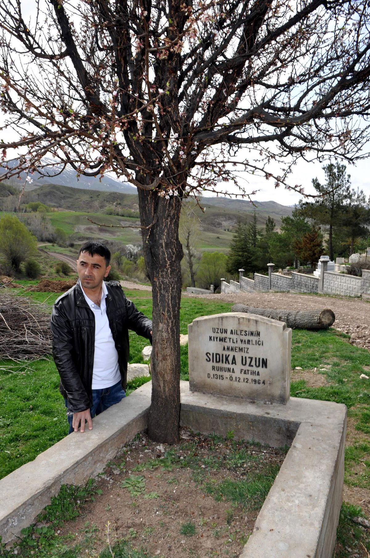 Mezarın Üzerinde Büyüyen Erik Ağacı Görenleri Şaşırtıyor