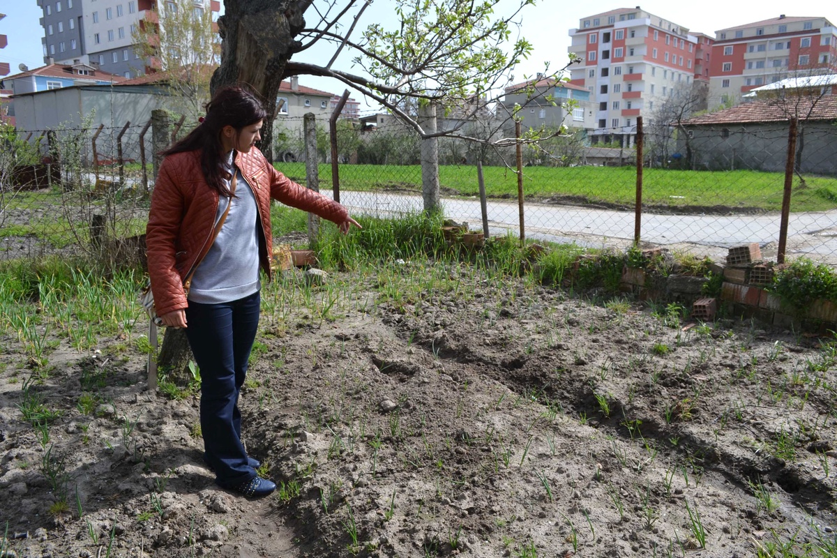 Öldürülen Köpeği İçin Suç Duyurusunda Bulundu