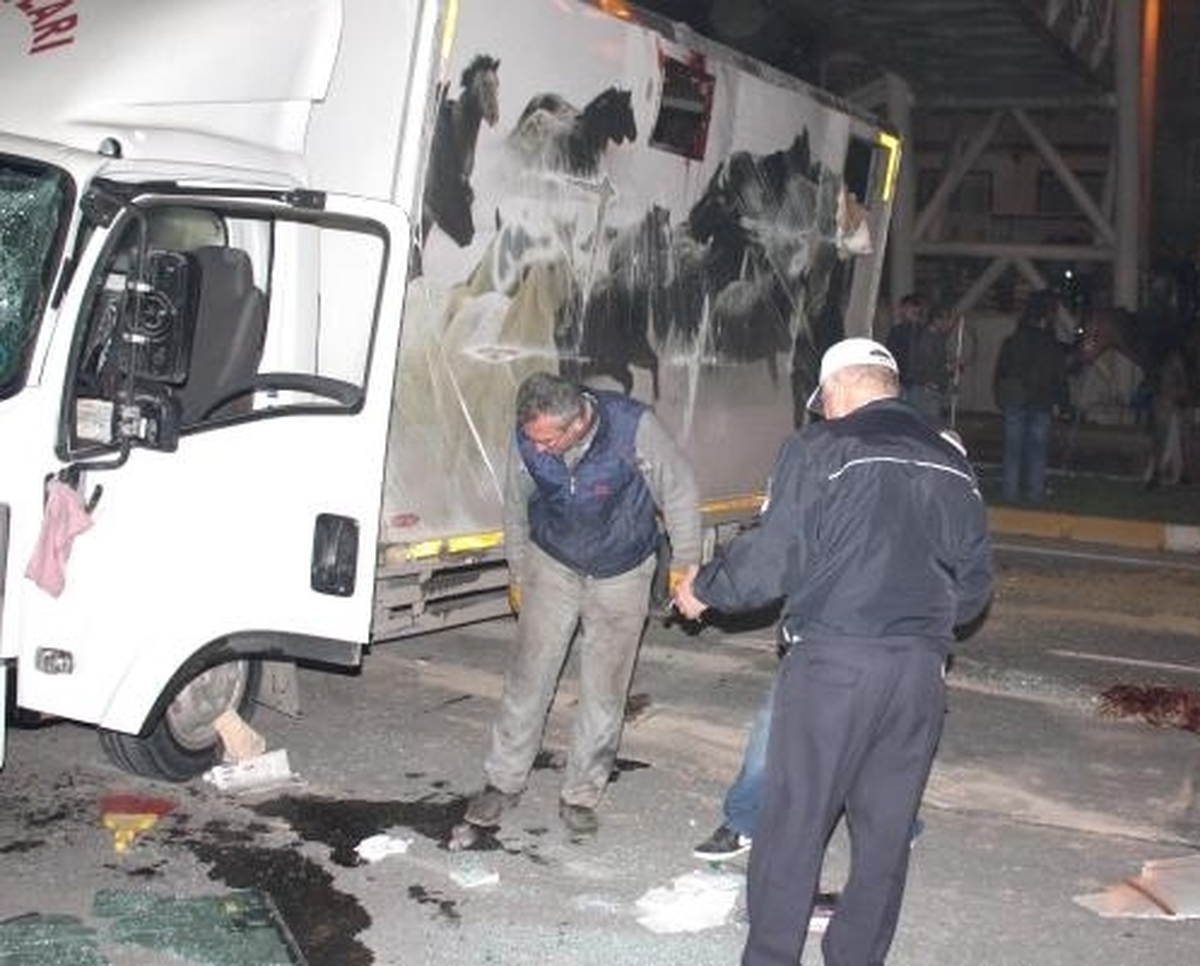 Yarış Atı Taşıyan Kamyon Kaza Yaptı