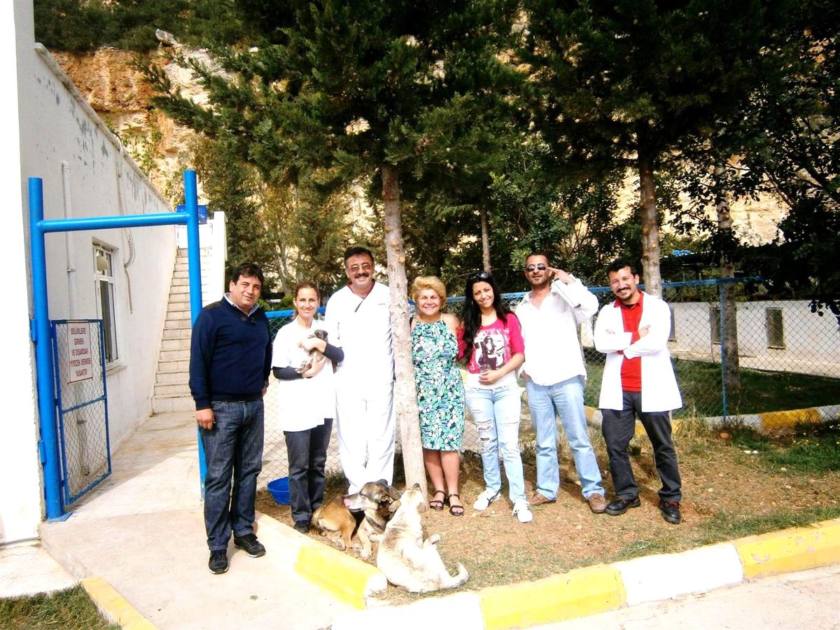 Dohayko, Mersin\'i de Dönüştürüyor