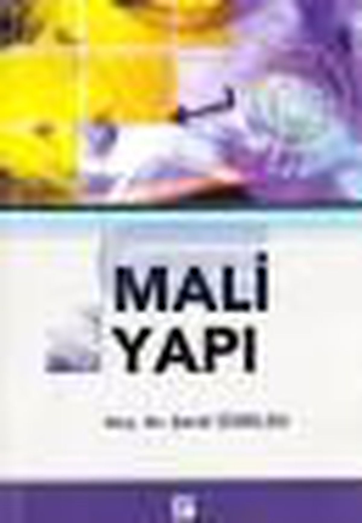 Mali Yapı Kitabı
