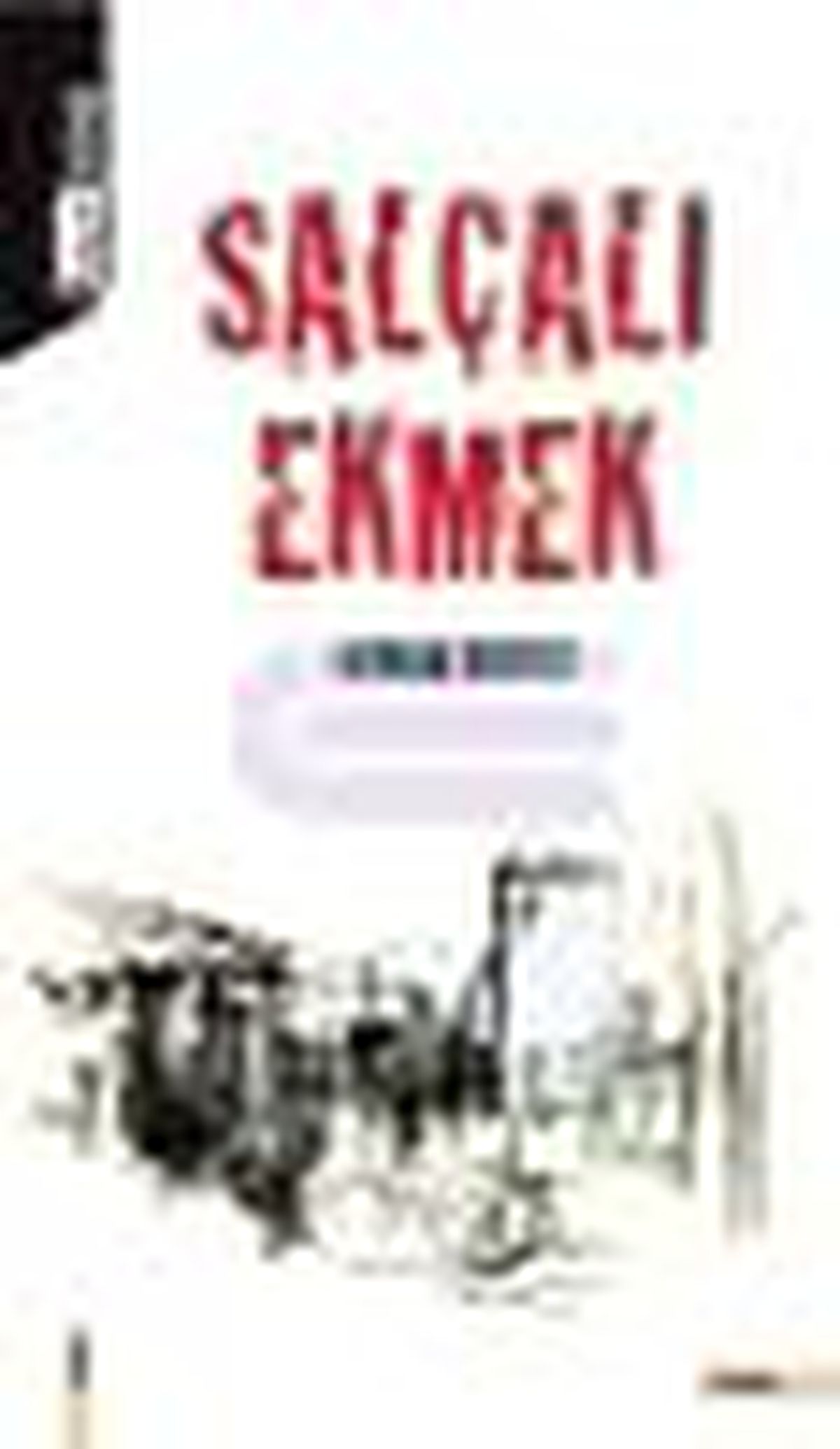 Salçalı Ekmek Kitabı