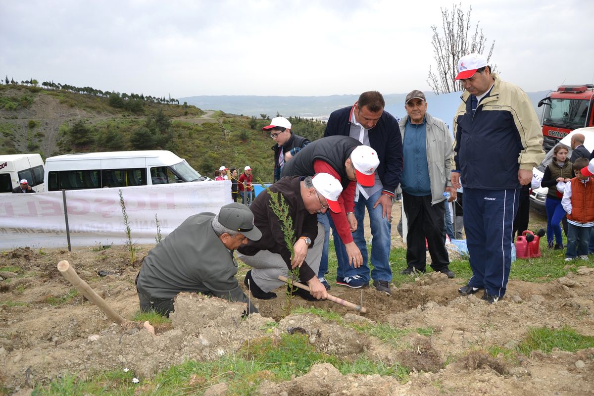 Vali Daşöz, Vergi Dairesi Personeliyle Uncubozköy\'de Fidan Dikti