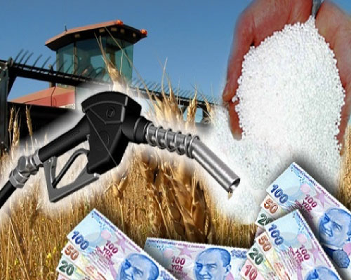 2013 Yılı Tarımsal Desteklemeleri Resmi Gazete\'de