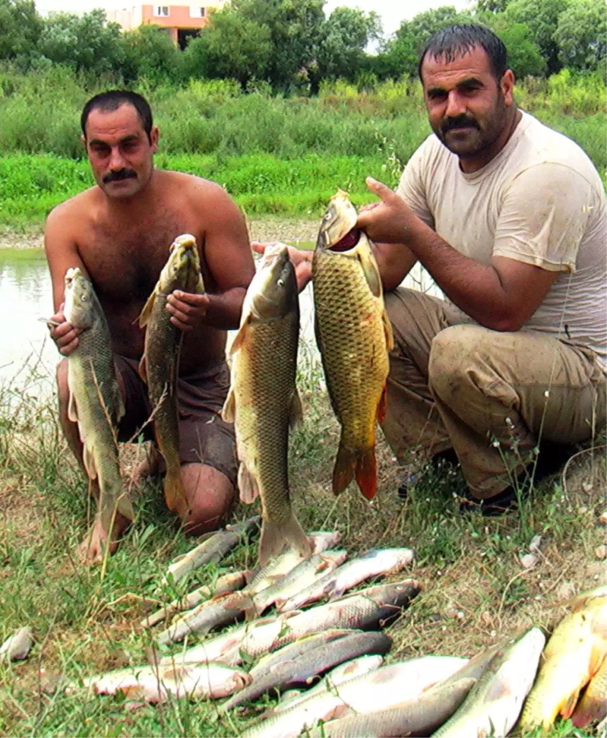 Balık Tutmak İçin Girdiği Çayda Boğuldu