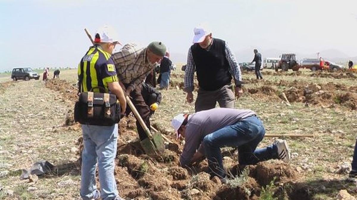 Beyşehir\'de 800 Fidan Toprakla Buluşturuldu