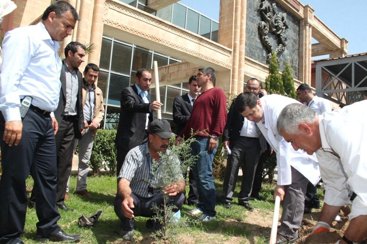 Cizre Çev-Der 50 Fidanı Toprakla Buluşturdu
