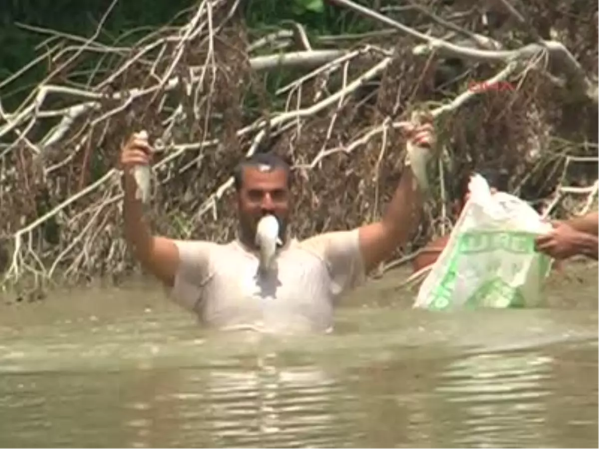 Elle Balık Yakalarken Boğuldu