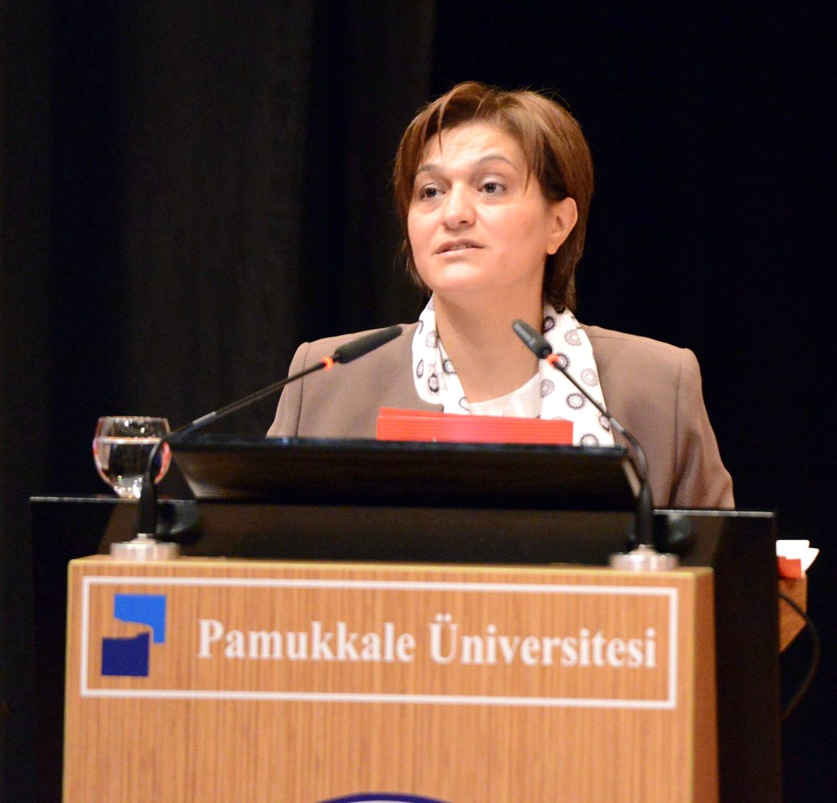"Gönül Elçileri Projesi"
