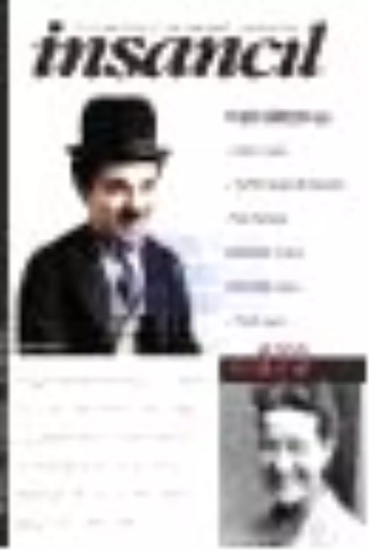 İnsancıl Aylık Kültür ve Sanat Dergisi Sayı: 273 Kitabı